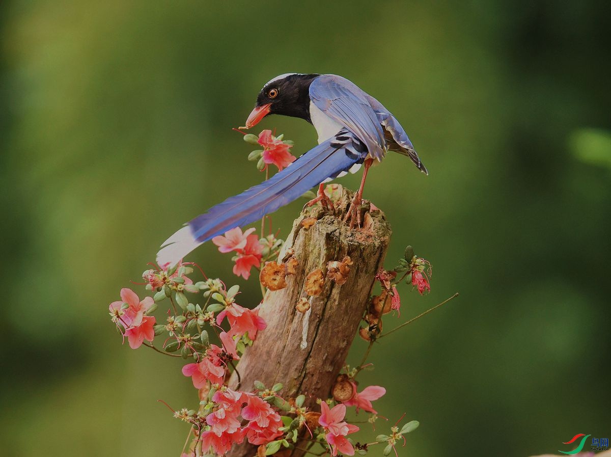 DSC_3577.JPG