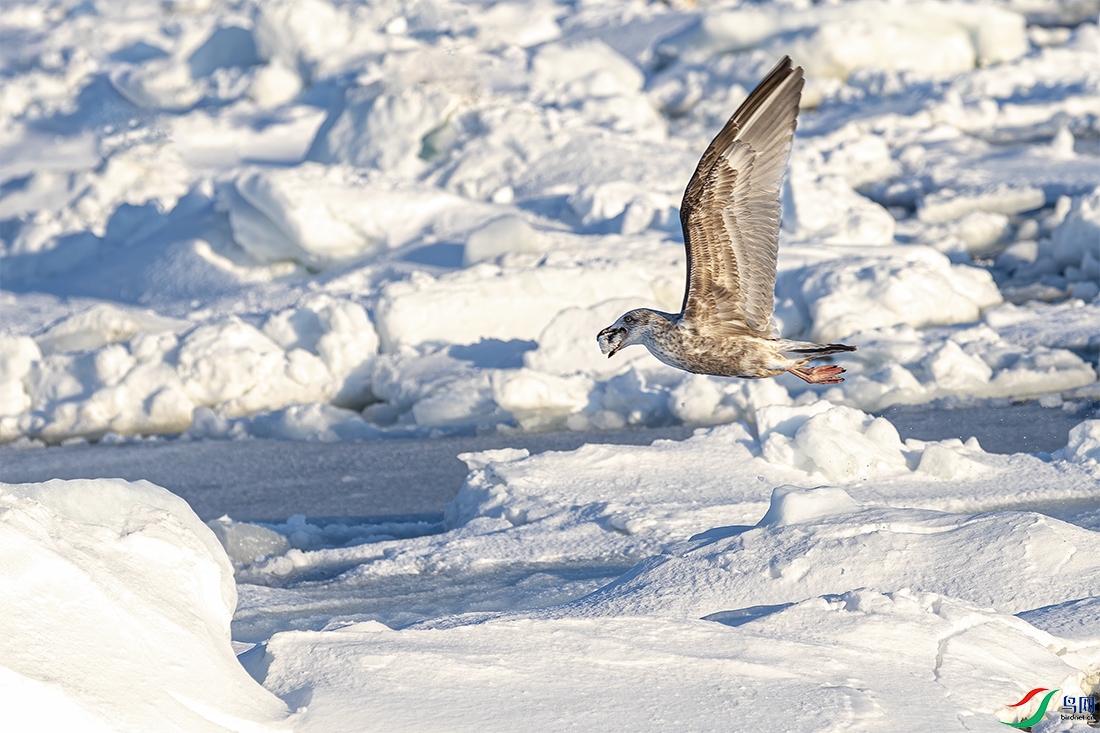 ��Ÿ����_M3I1475.jpg