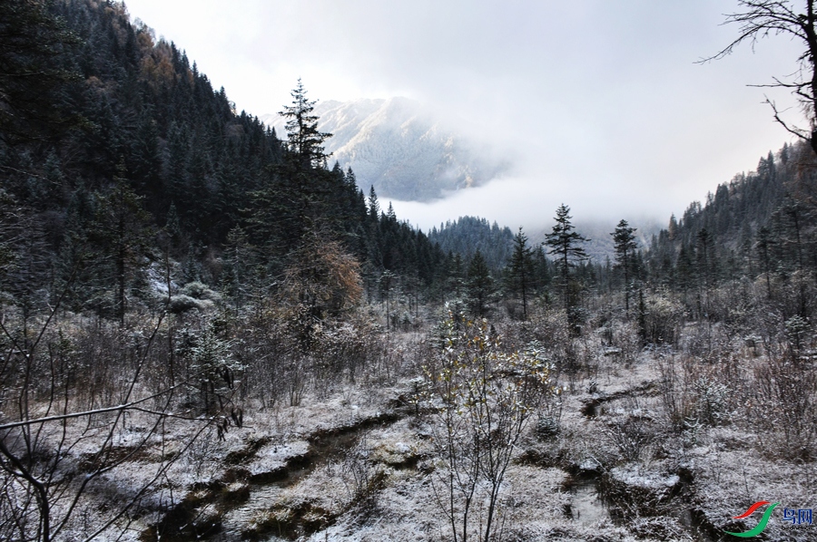 Զɽ��ѩ������