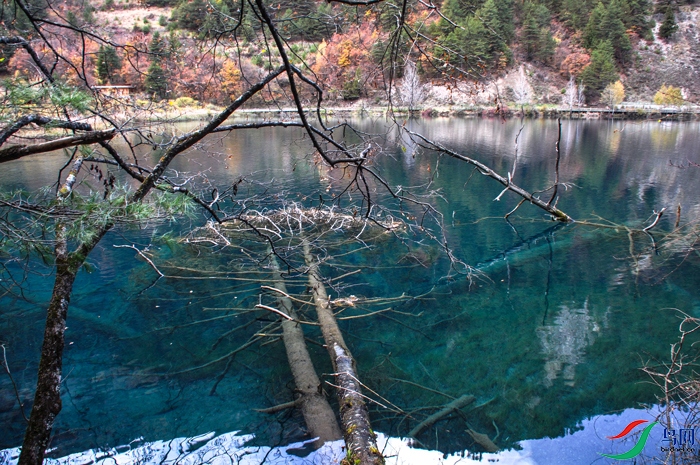 ������ˮ��ľͷ