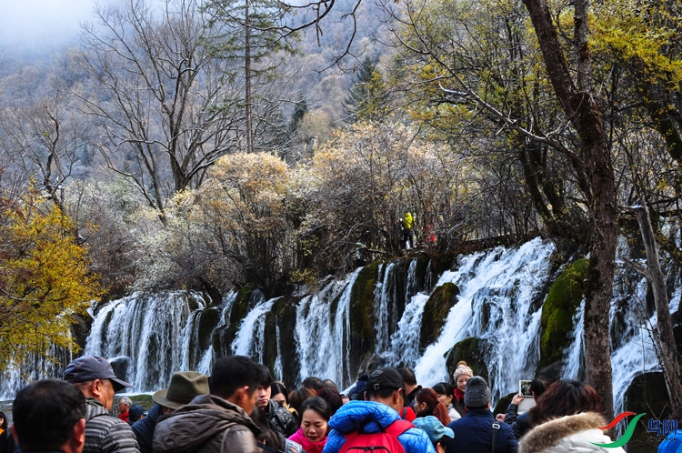 ���ƻƻ�������