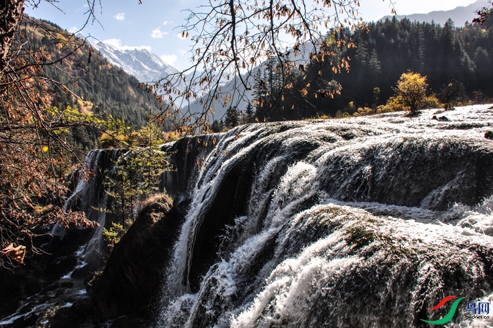 ����Զ����ҹ�