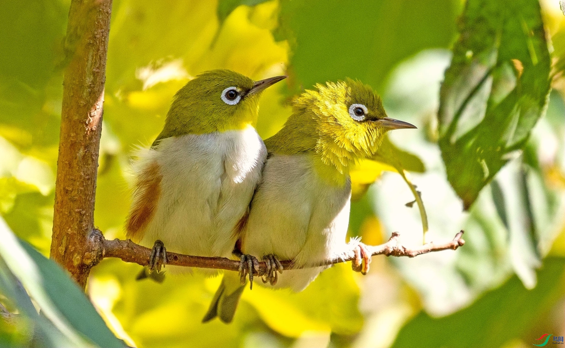 ��в�㰮 (3).jpg