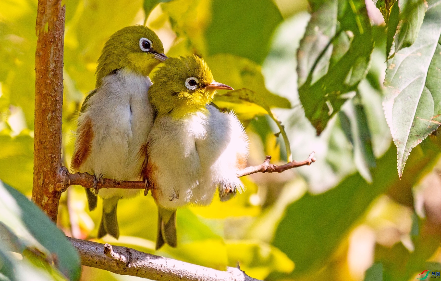 ��в�㰮 (4).jpg