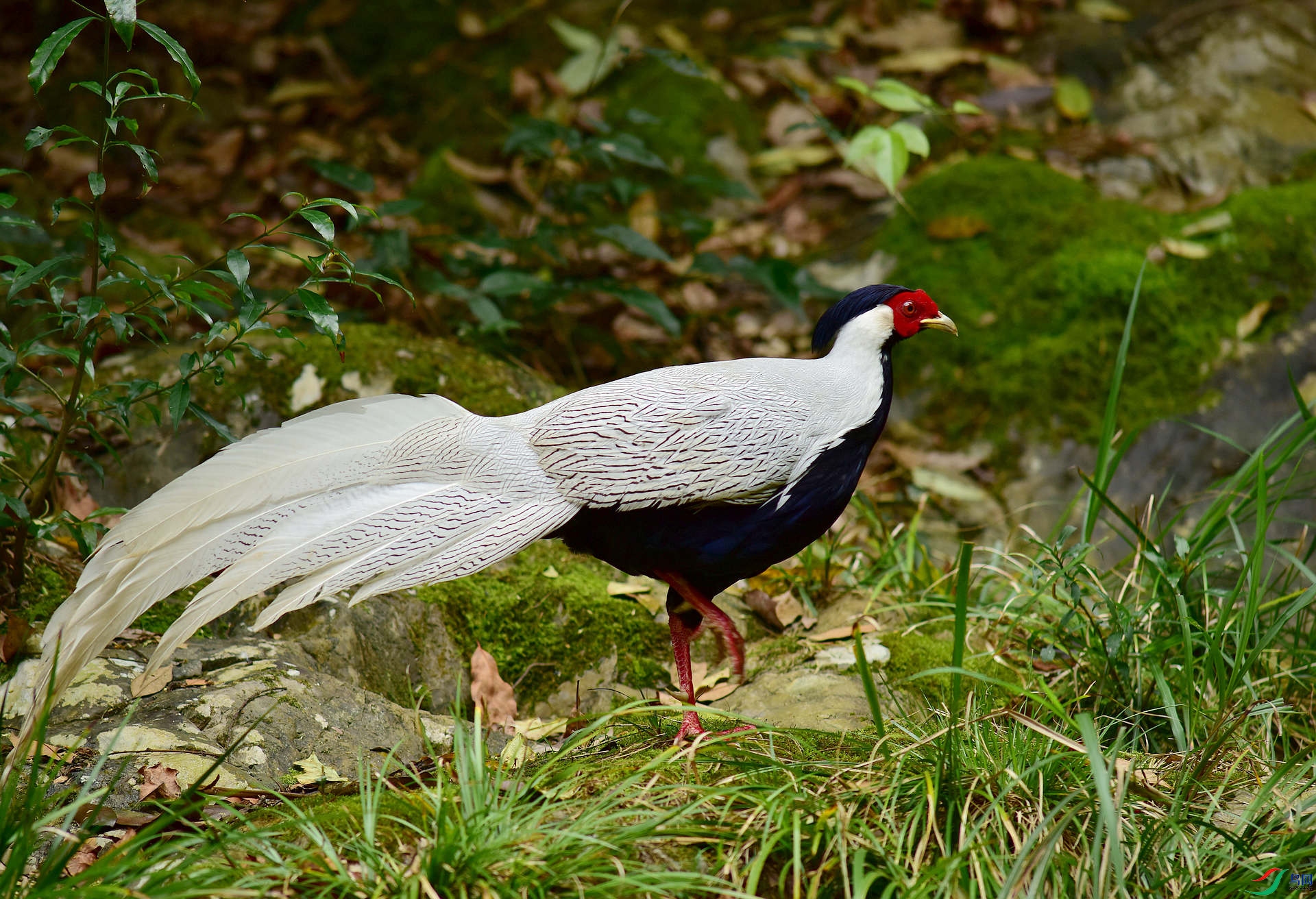 D8I_8301.jpg