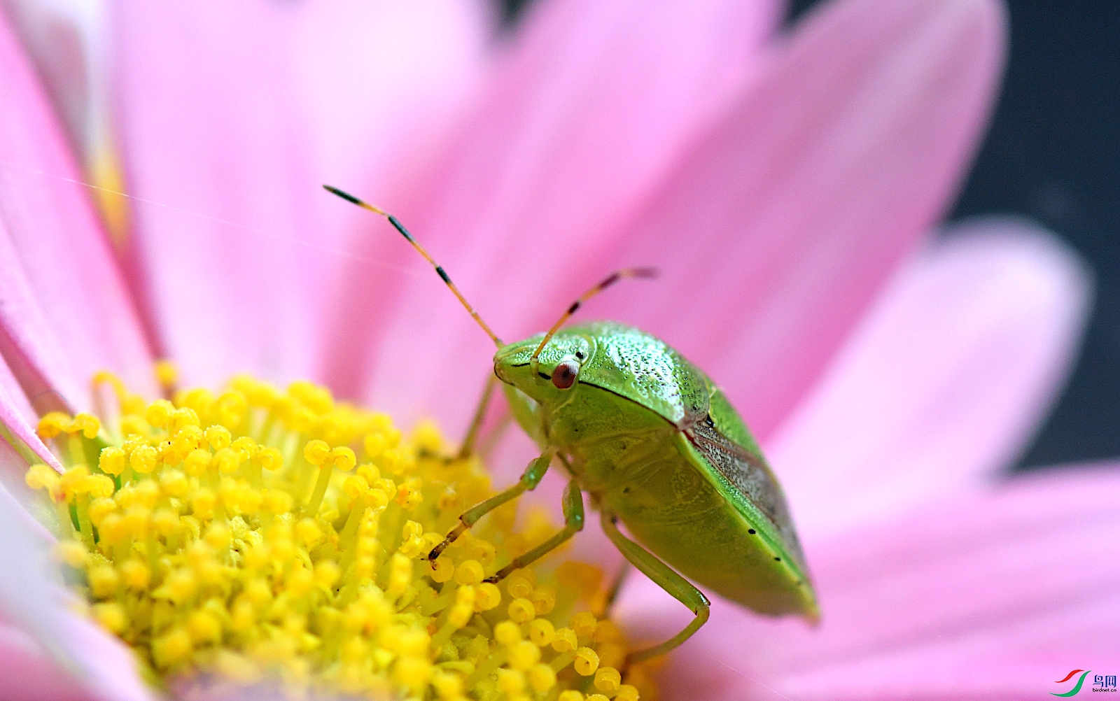 DSC_1287_00006.jpg