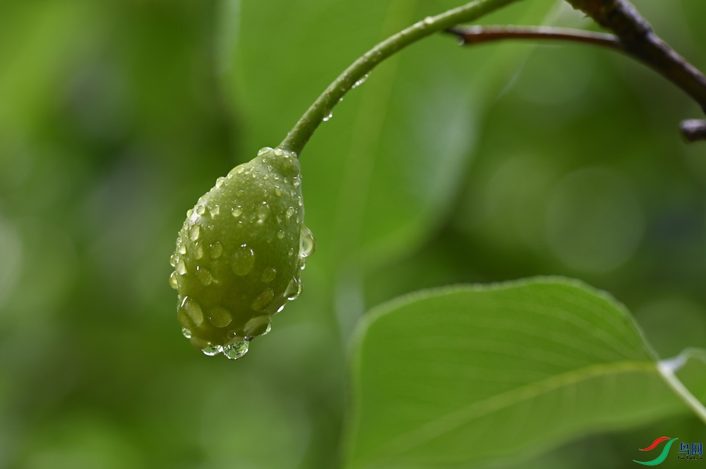 DSC_3931.jpg