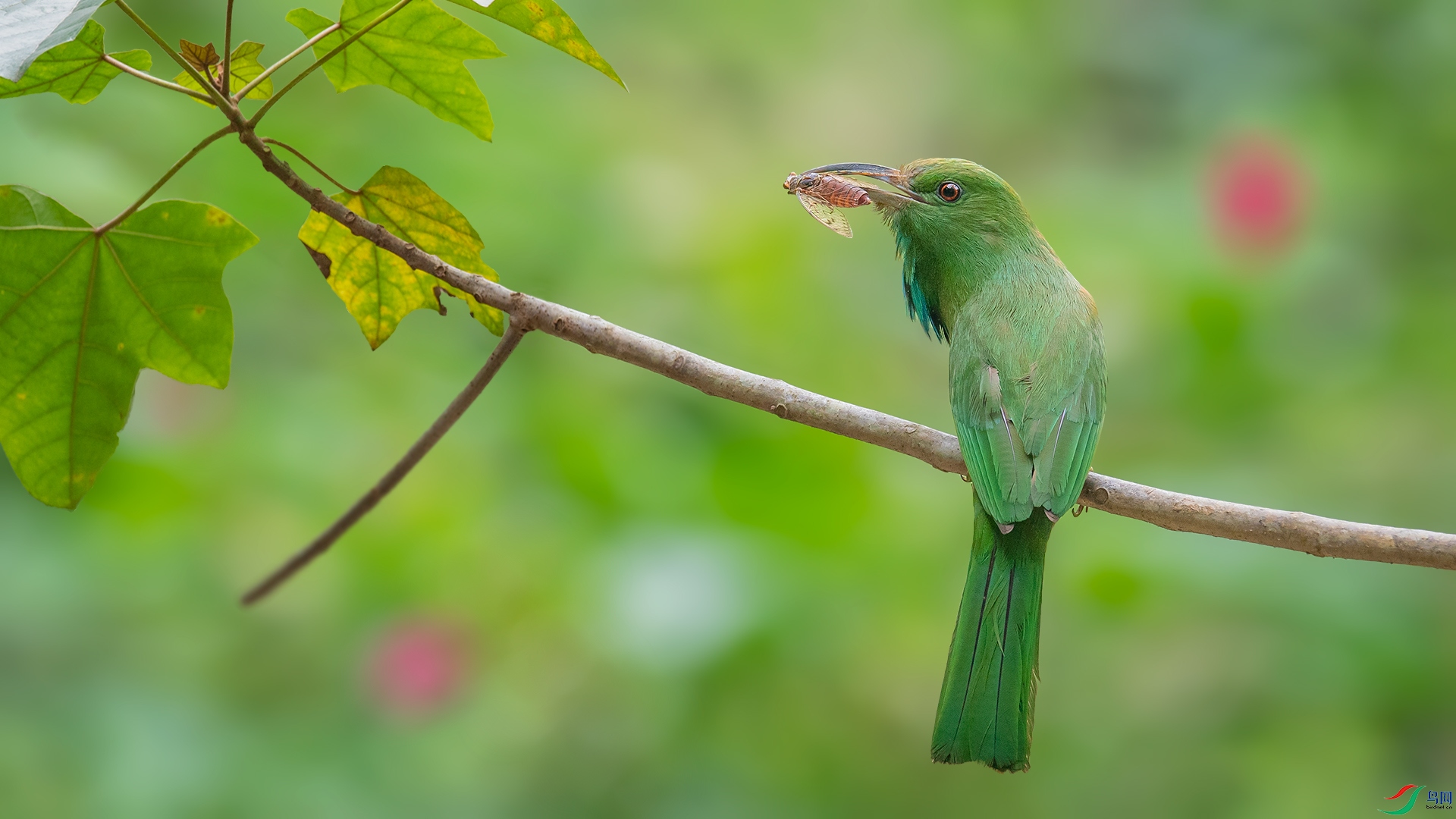 DSC_5339.jpg