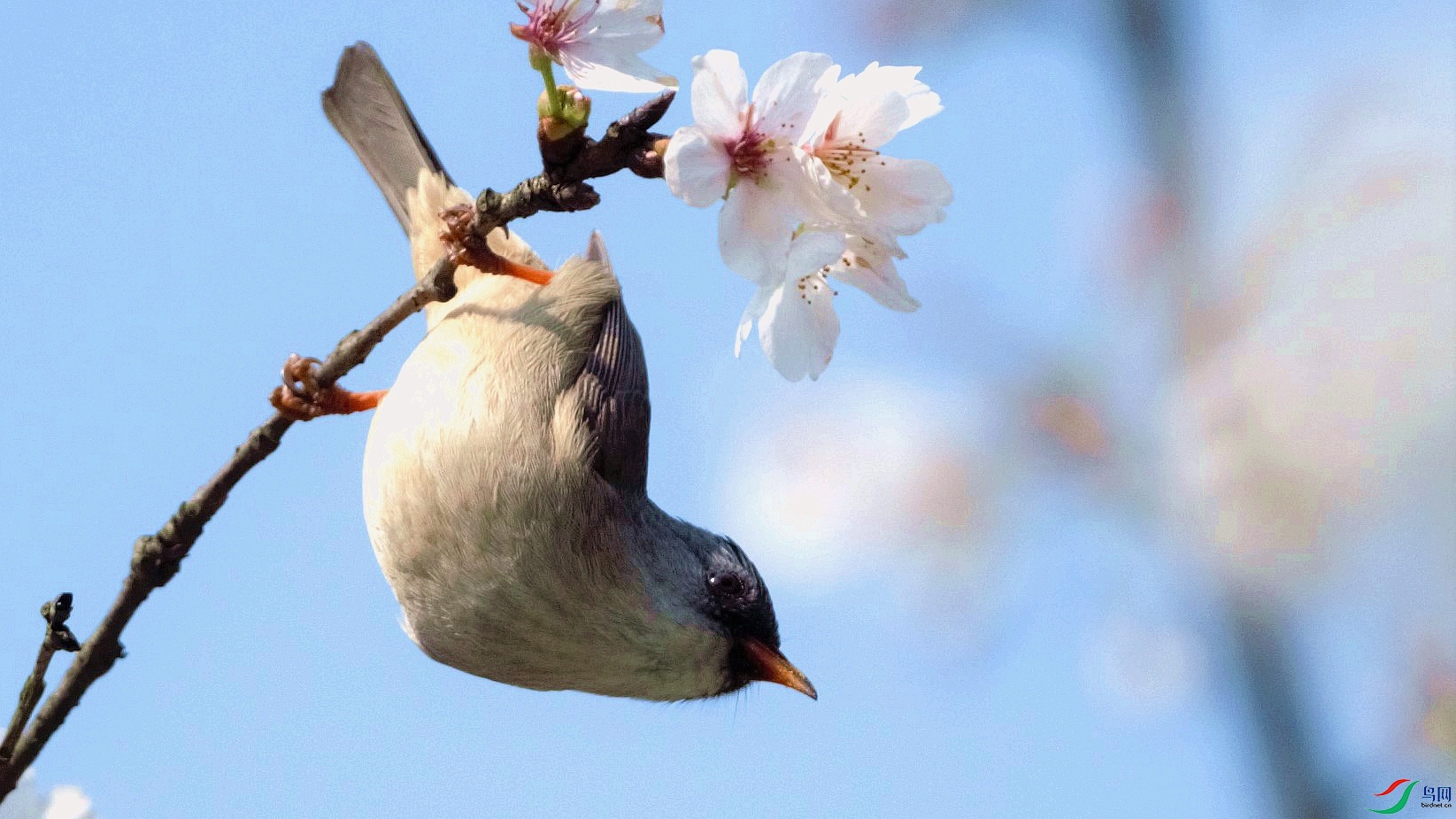 DSC_8968 (2)_����.jpg