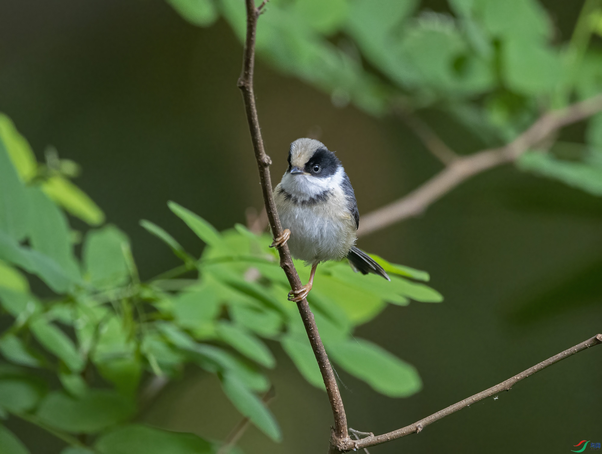DSC_7649.jpg