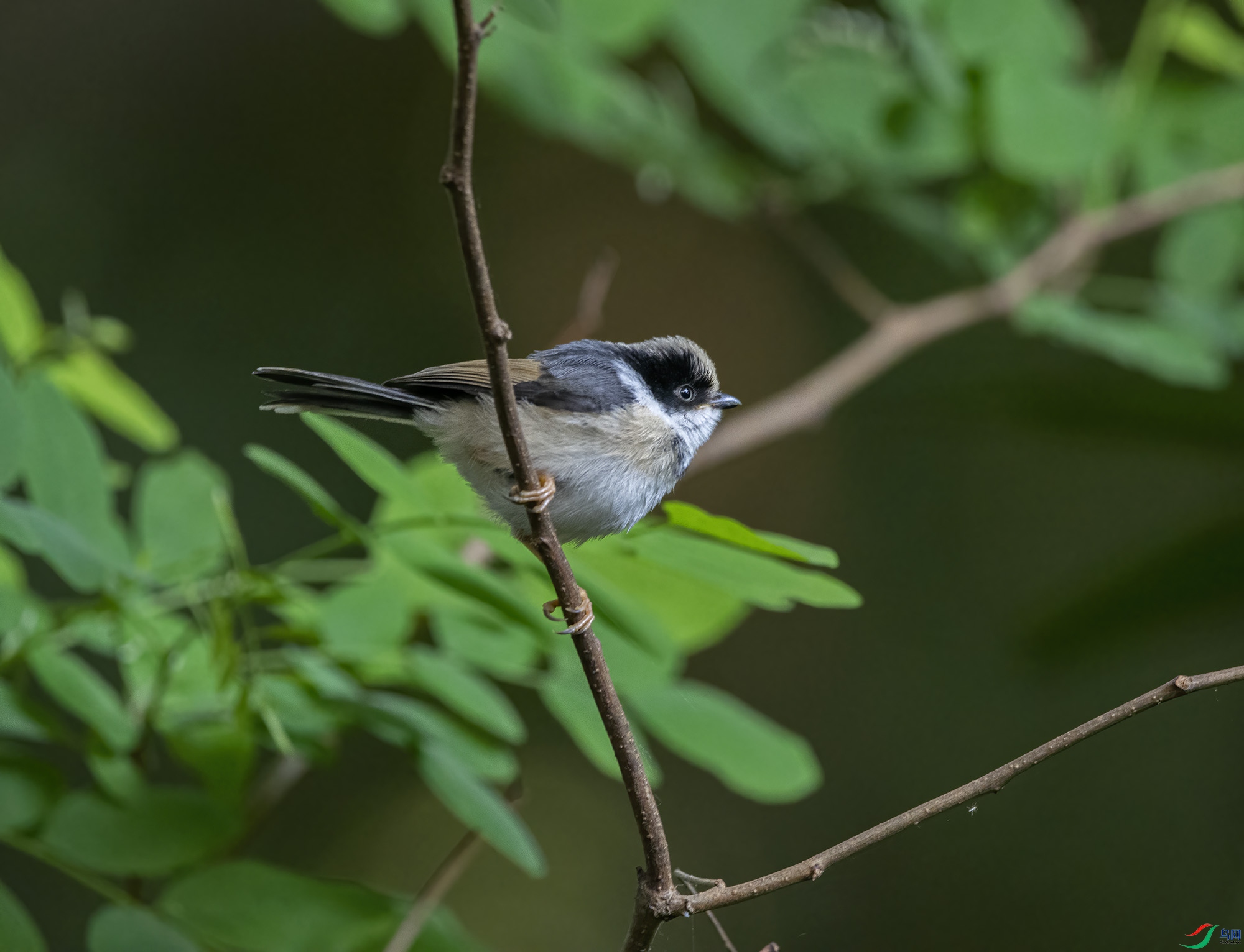 DSC_7656.jpg