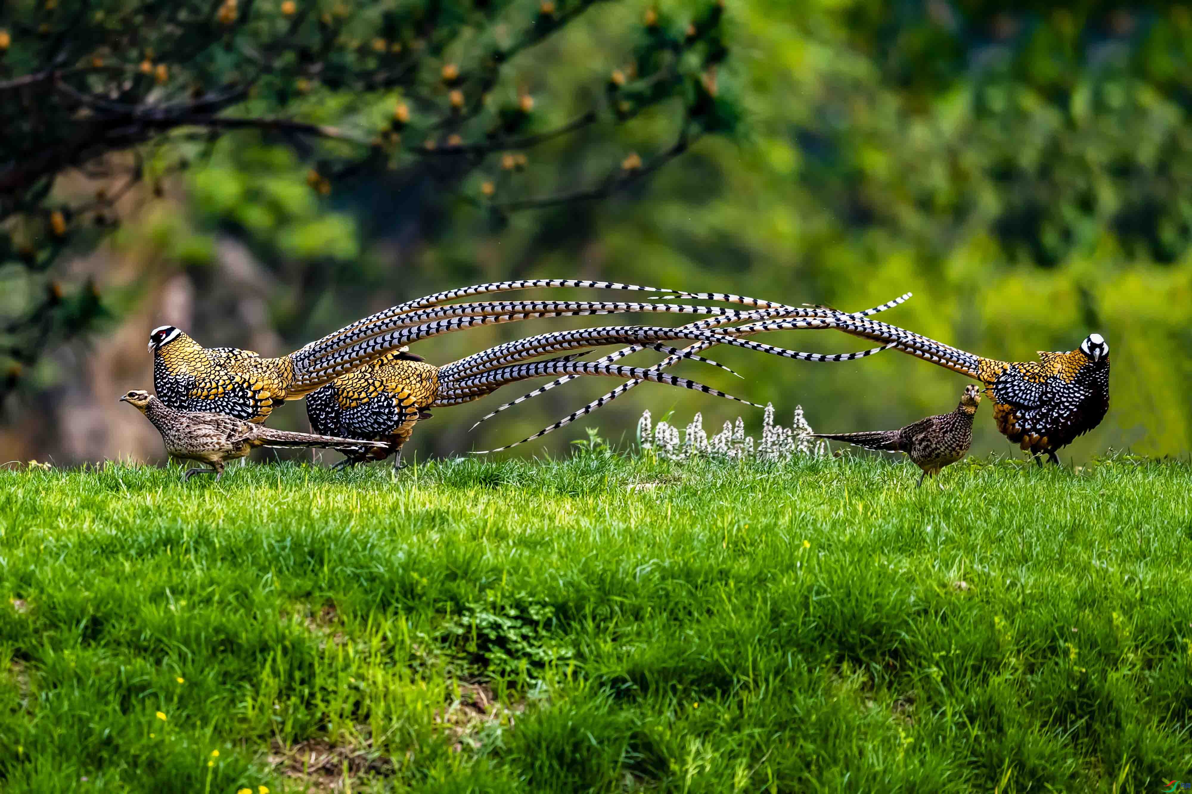 _DSC7873.jpg
