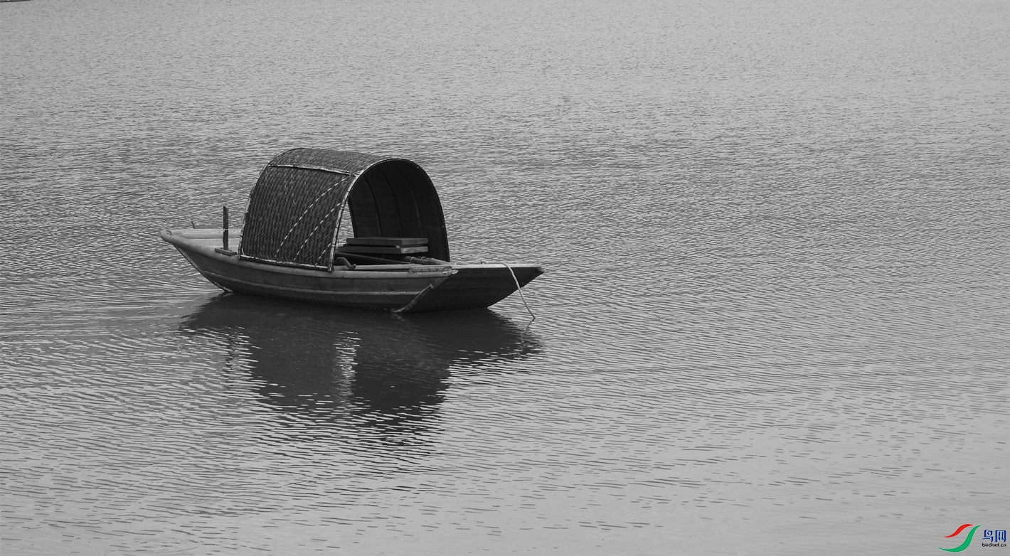 野渡无人舟自横