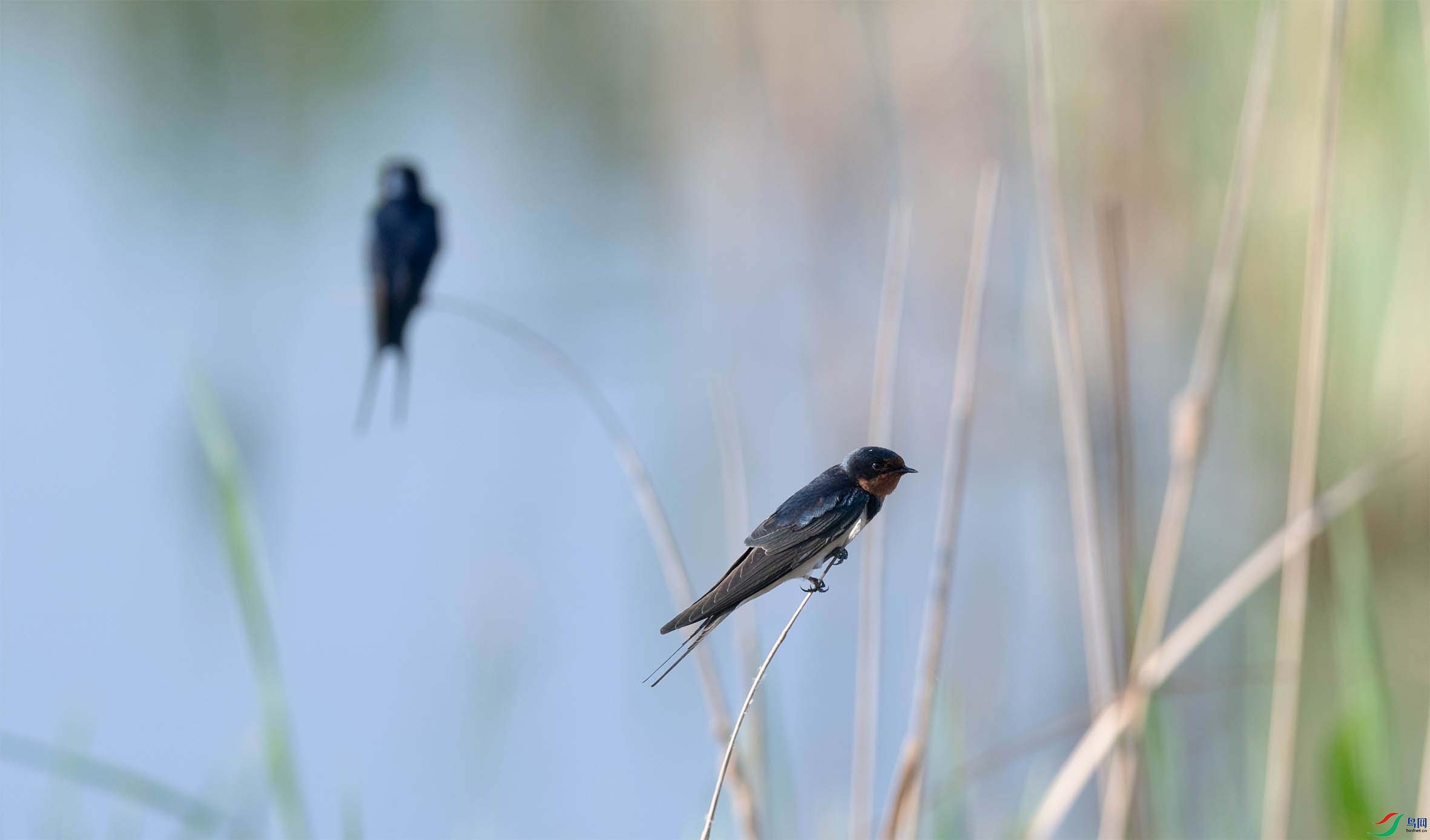 DSC_3239-3.jpg
