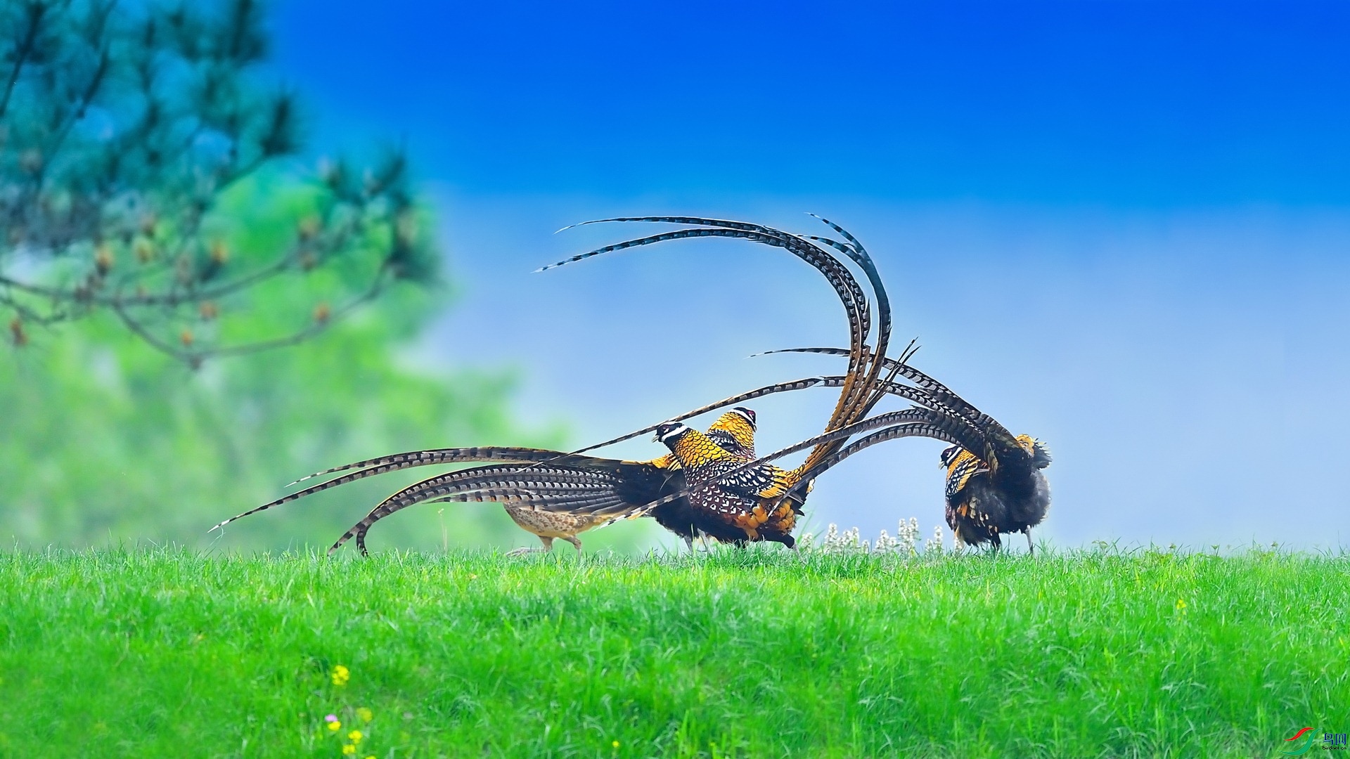 XIA_3194.JPG