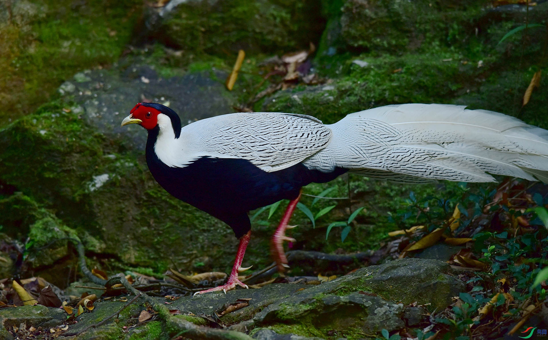 D8I_0054.jpg
