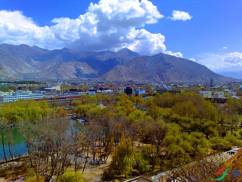 �ڲ��������������