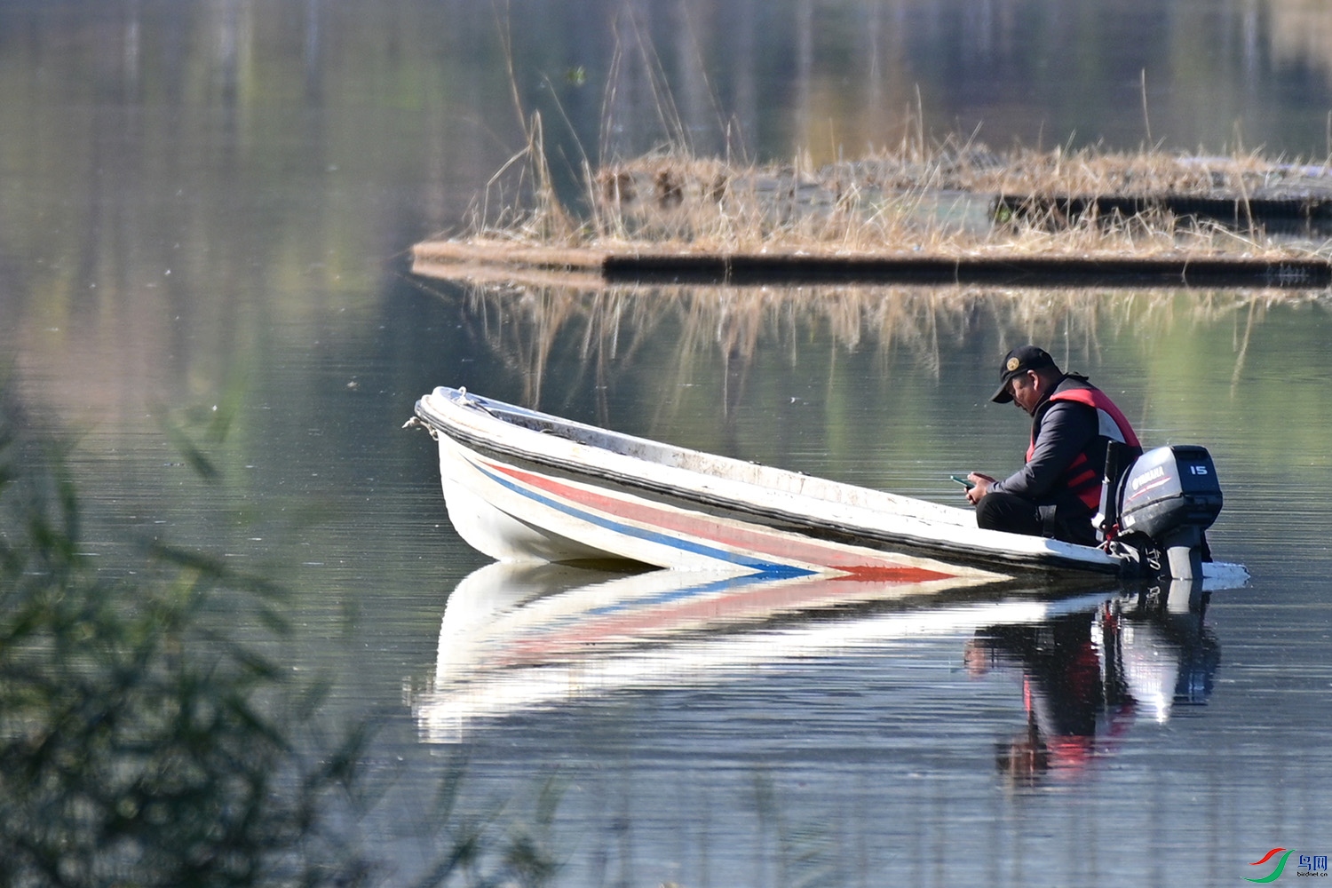 DSC_5033.jpg