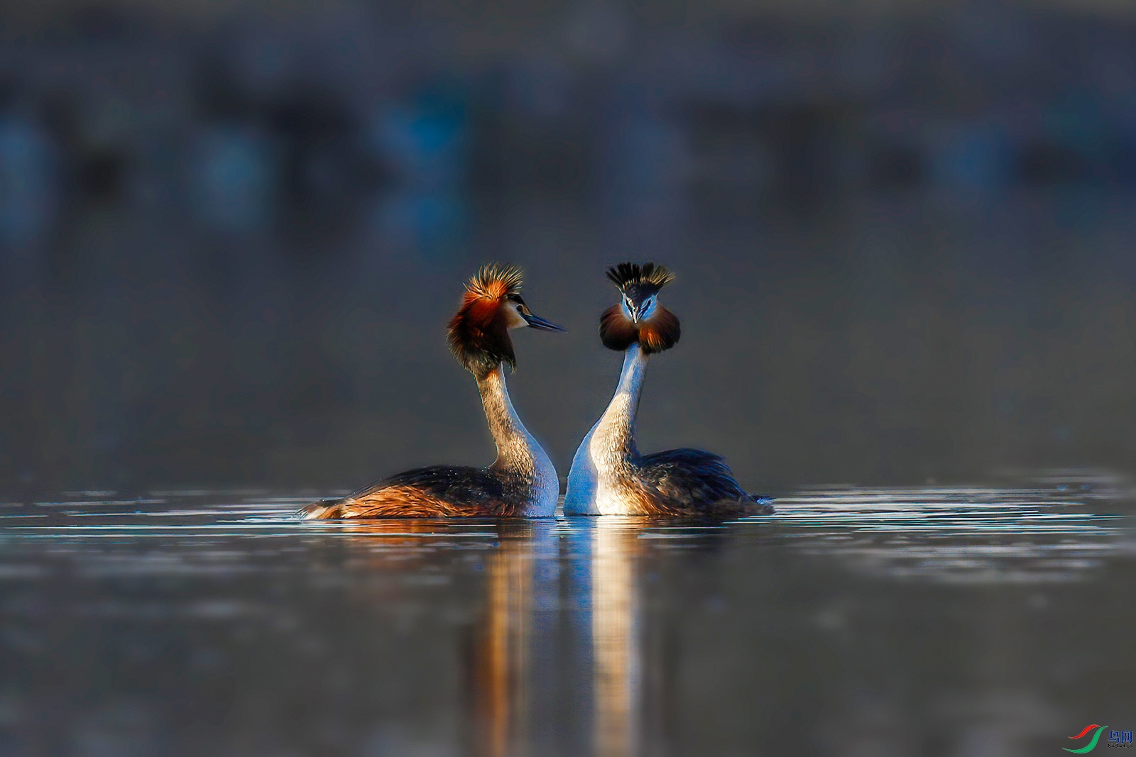 _G8U1165-edit-2.jpg