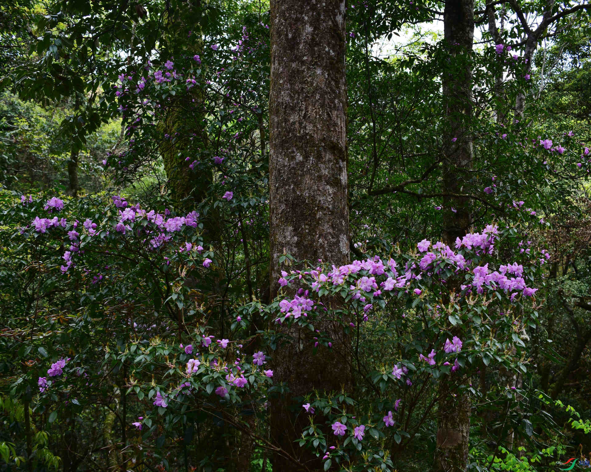 D8I_0422.jpg