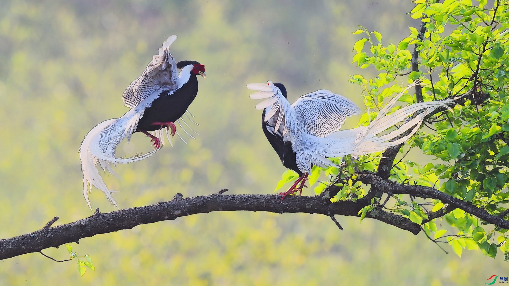 ��ʾ����