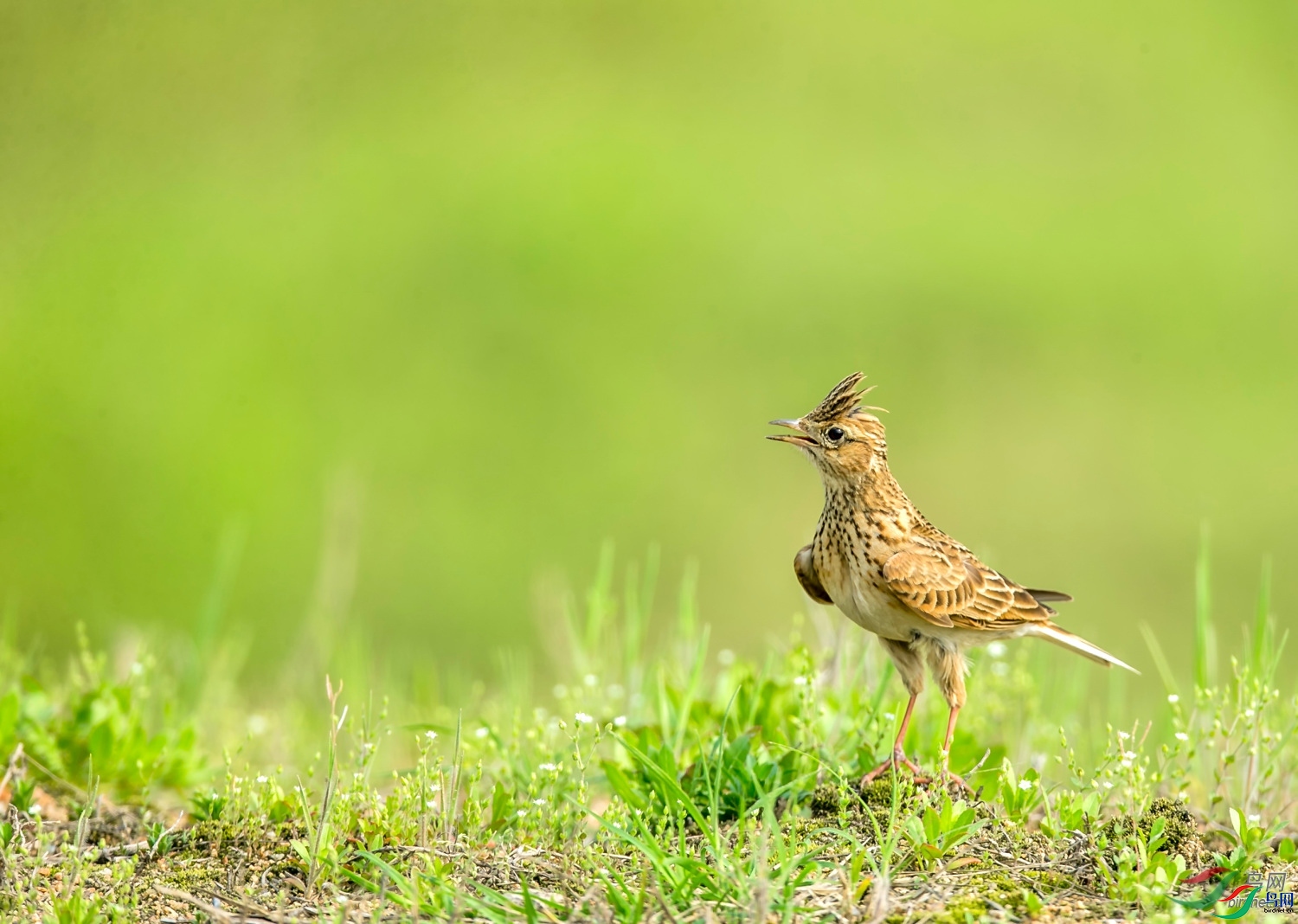 ����  ��ʦ������ɽ��ʡ�����ж�����.jpg