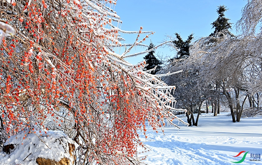 5.DSC_8004AM.jpg