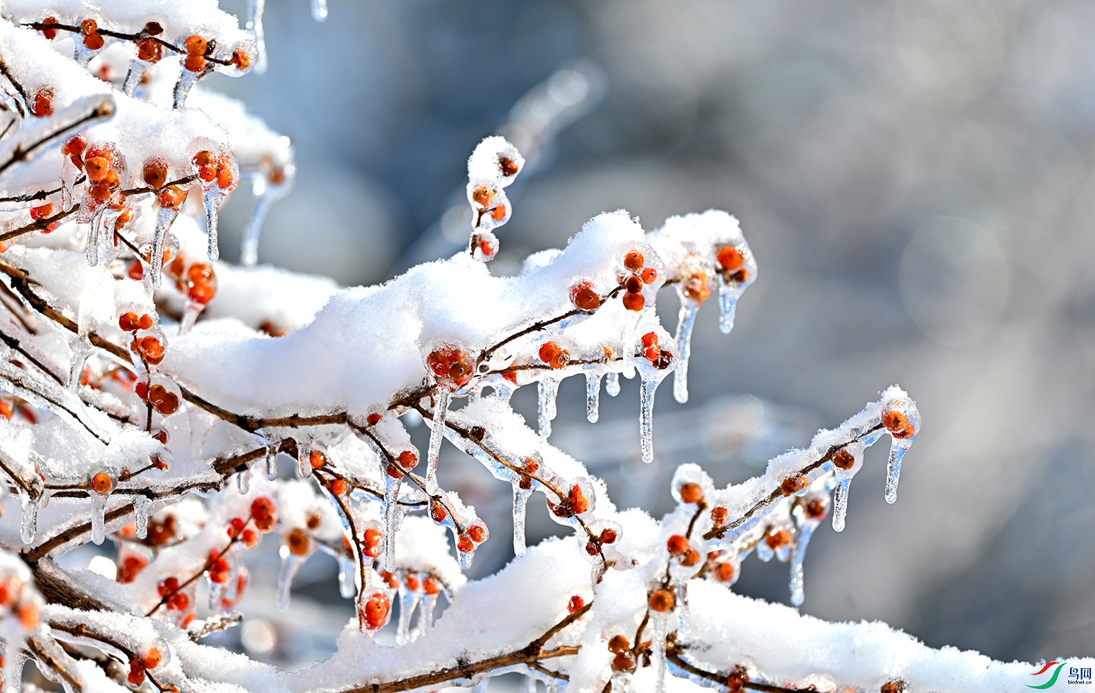 6.DSC_7572AM.jpg