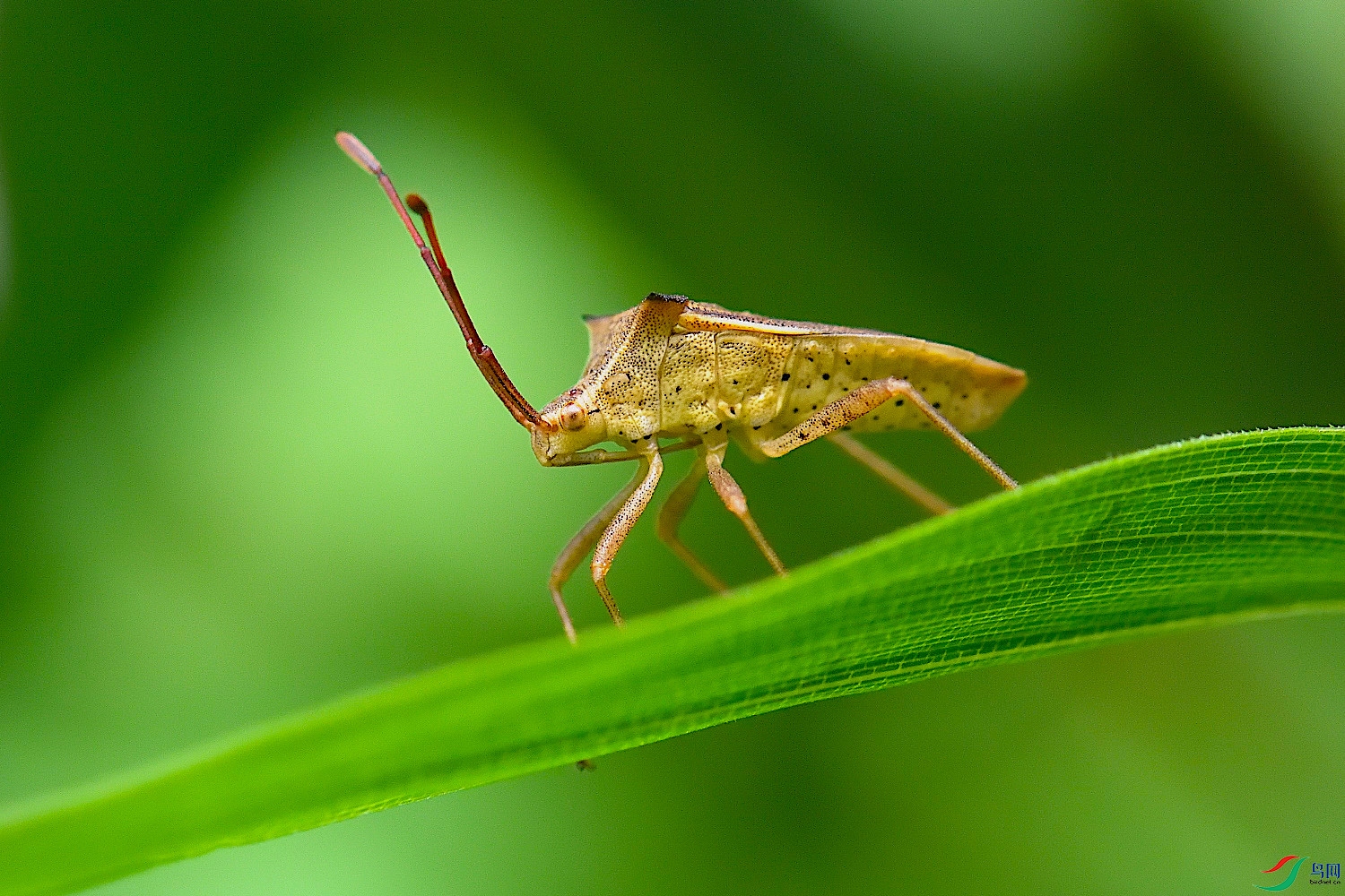 蝽贺获首页精华