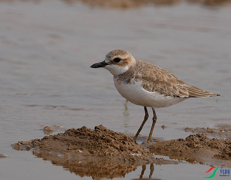 P6380226 - ����.JPG