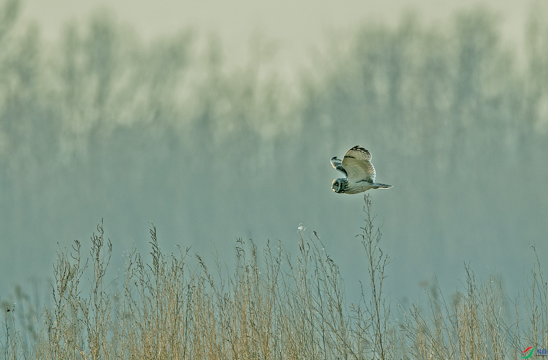 DSC_7602.jpg