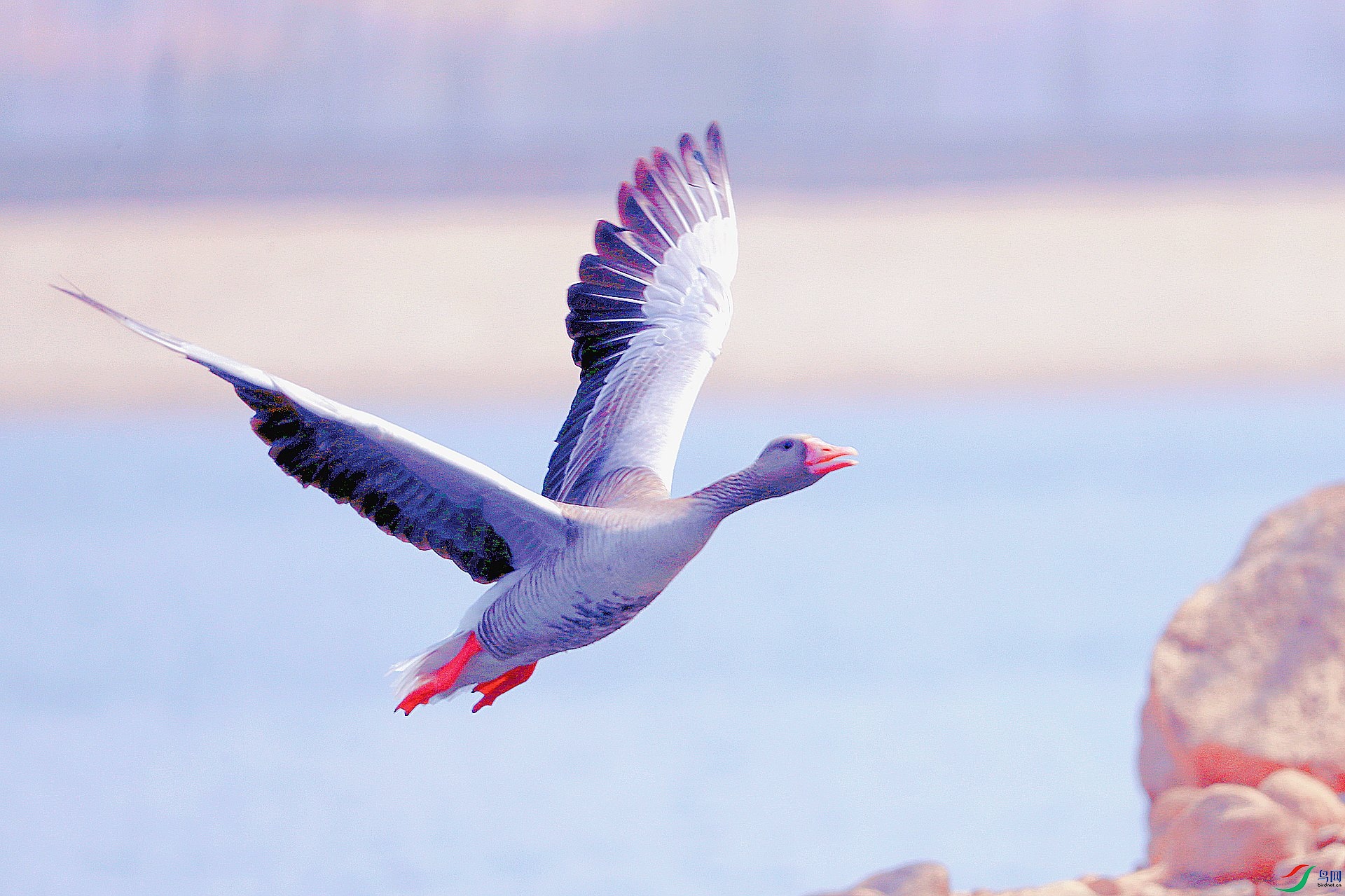 AS8I7857_����.jpg