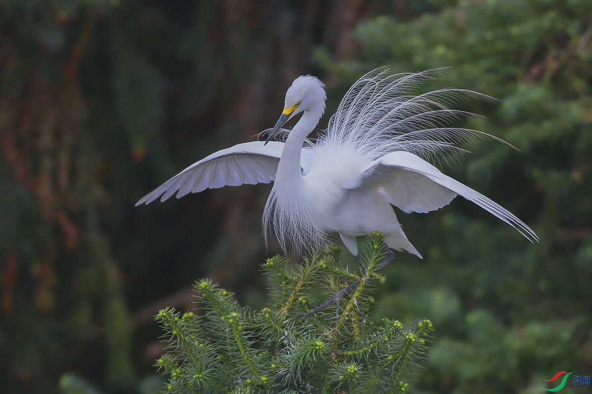 K63A4963m - ����.jpg