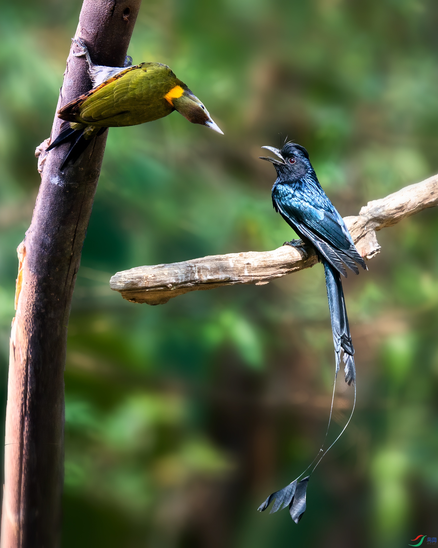 DSC00641-2.jpg
