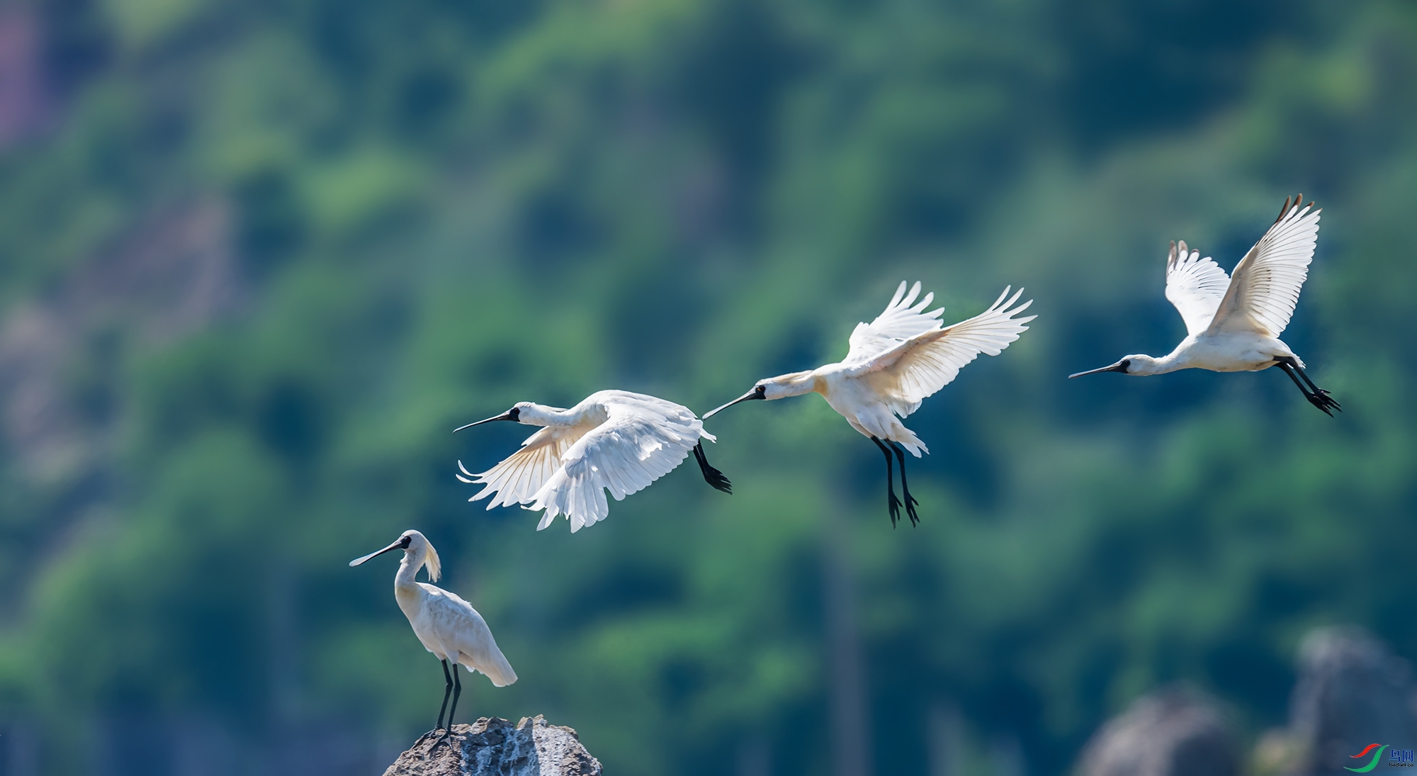 ��������