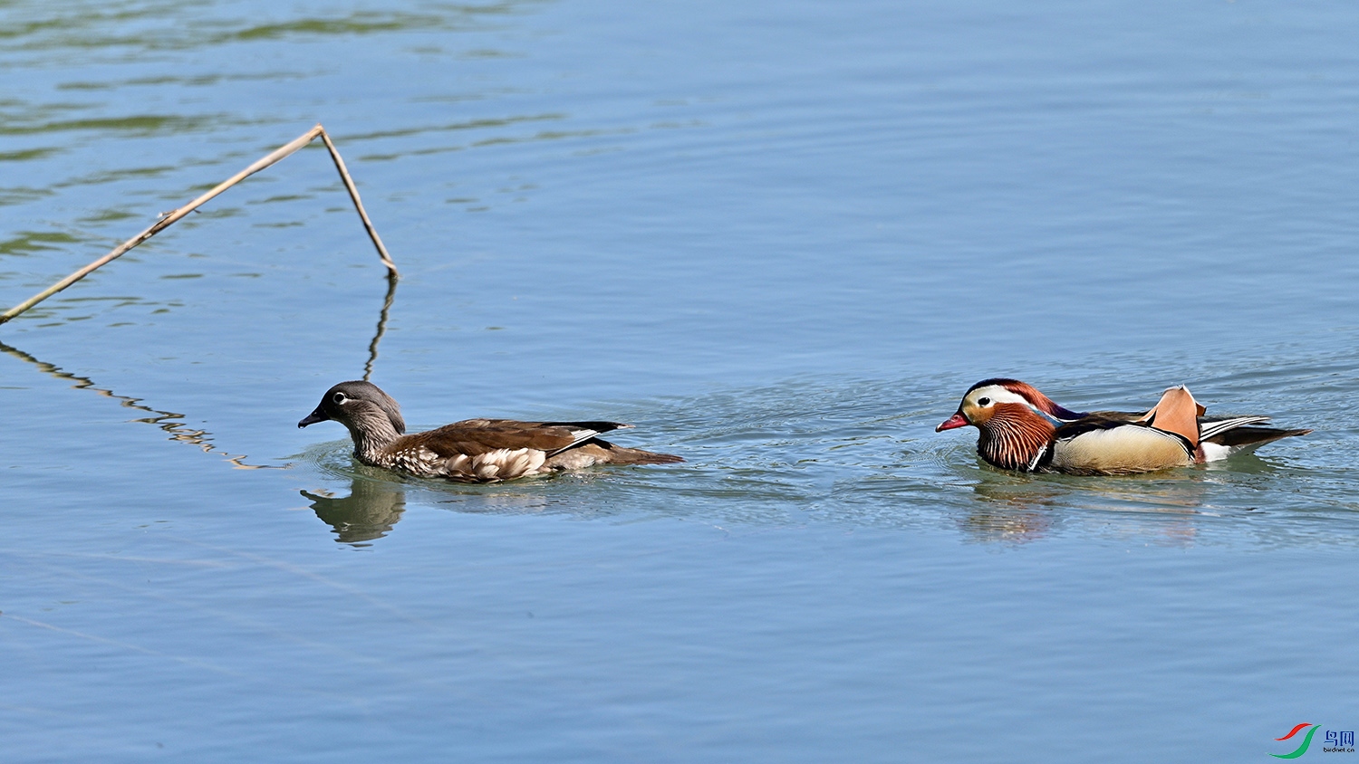 DSC_8536.jpg