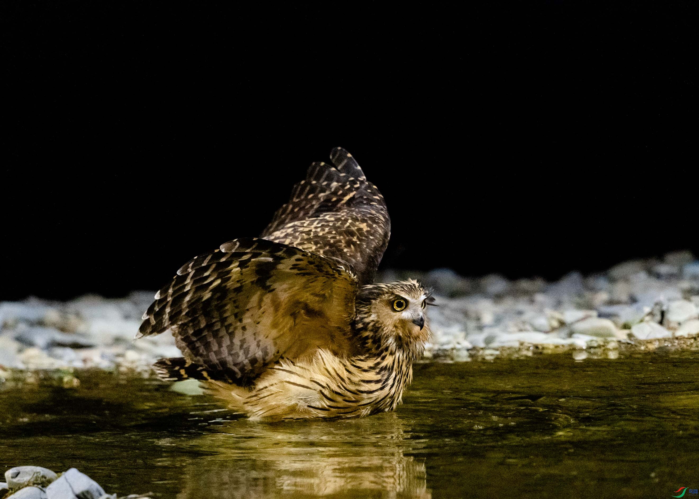 DSC_6779��.jpg