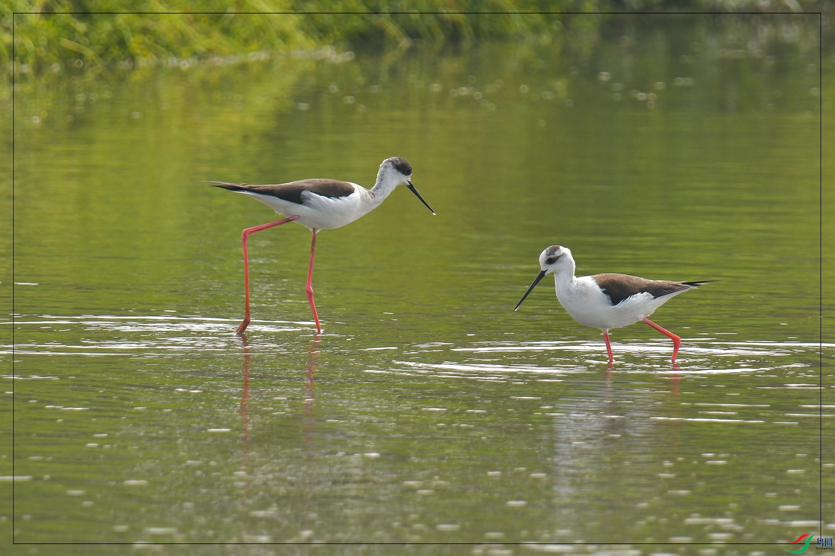 50������