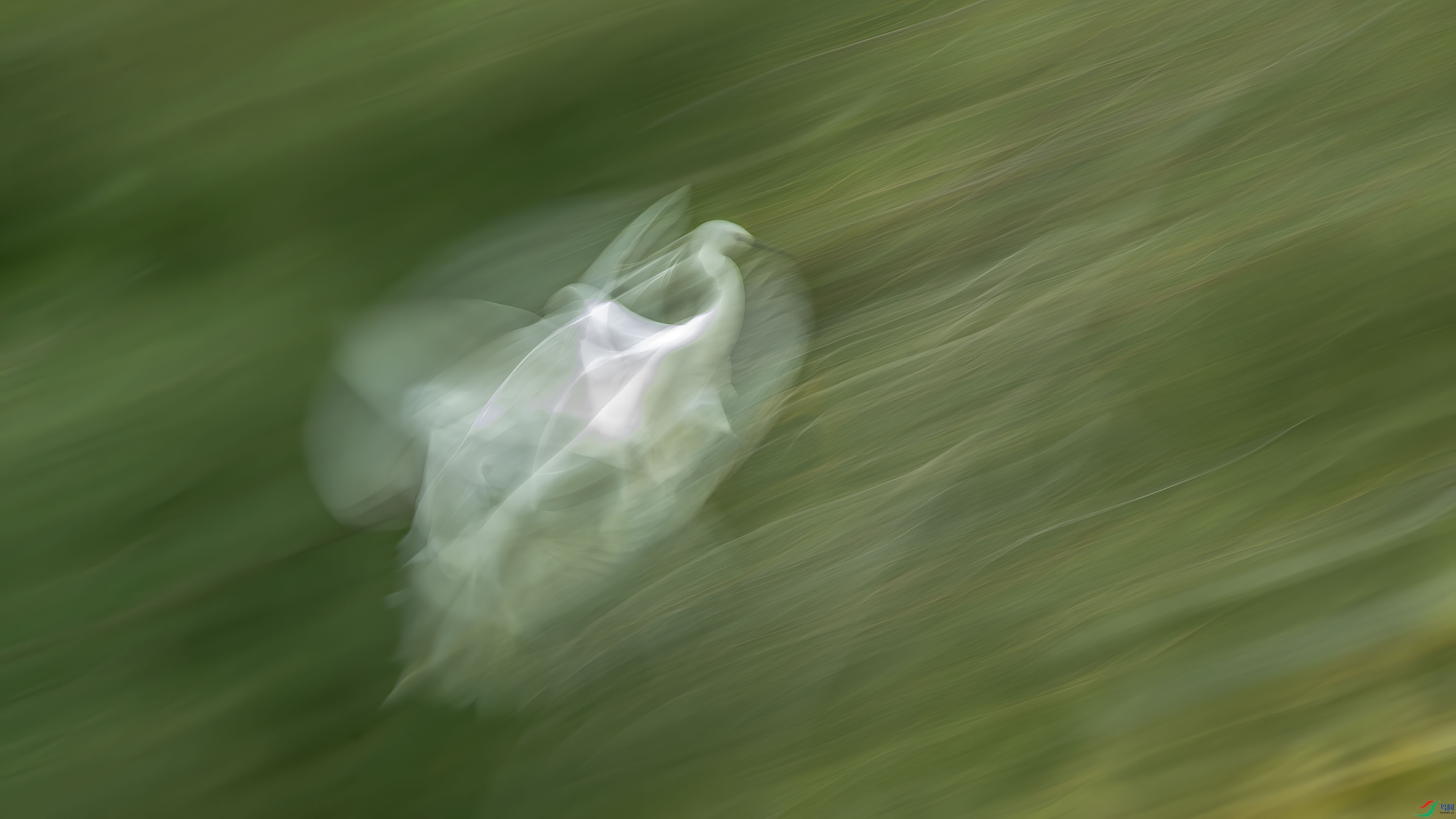 DSC_4874.jpg