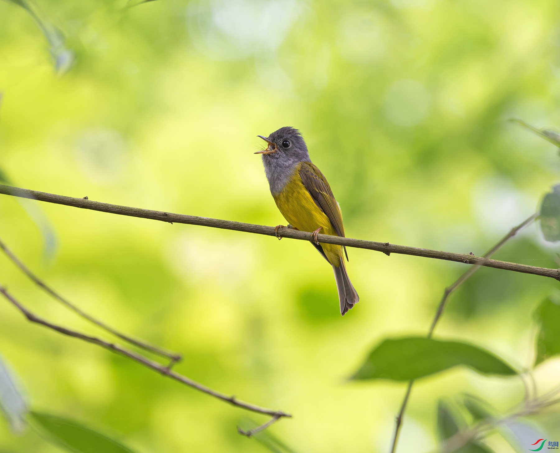 DSC_7835.jpg