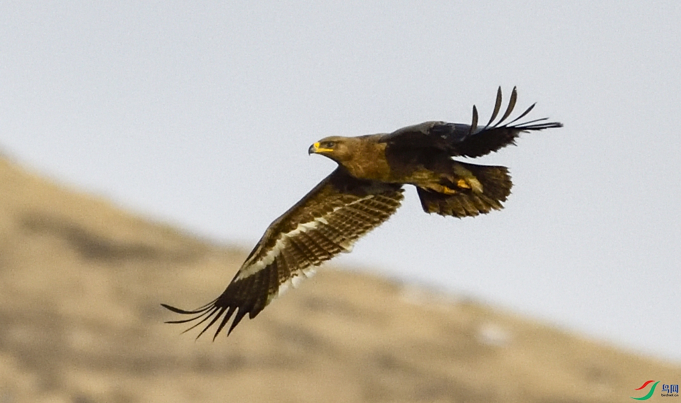 _DSC7500.JPG