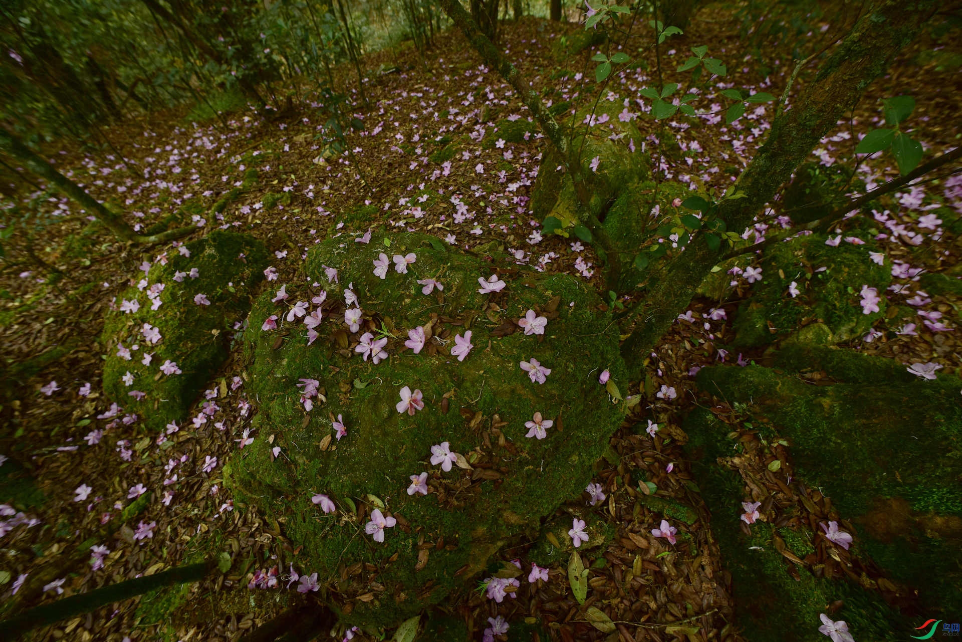 D8I_0916.jpg