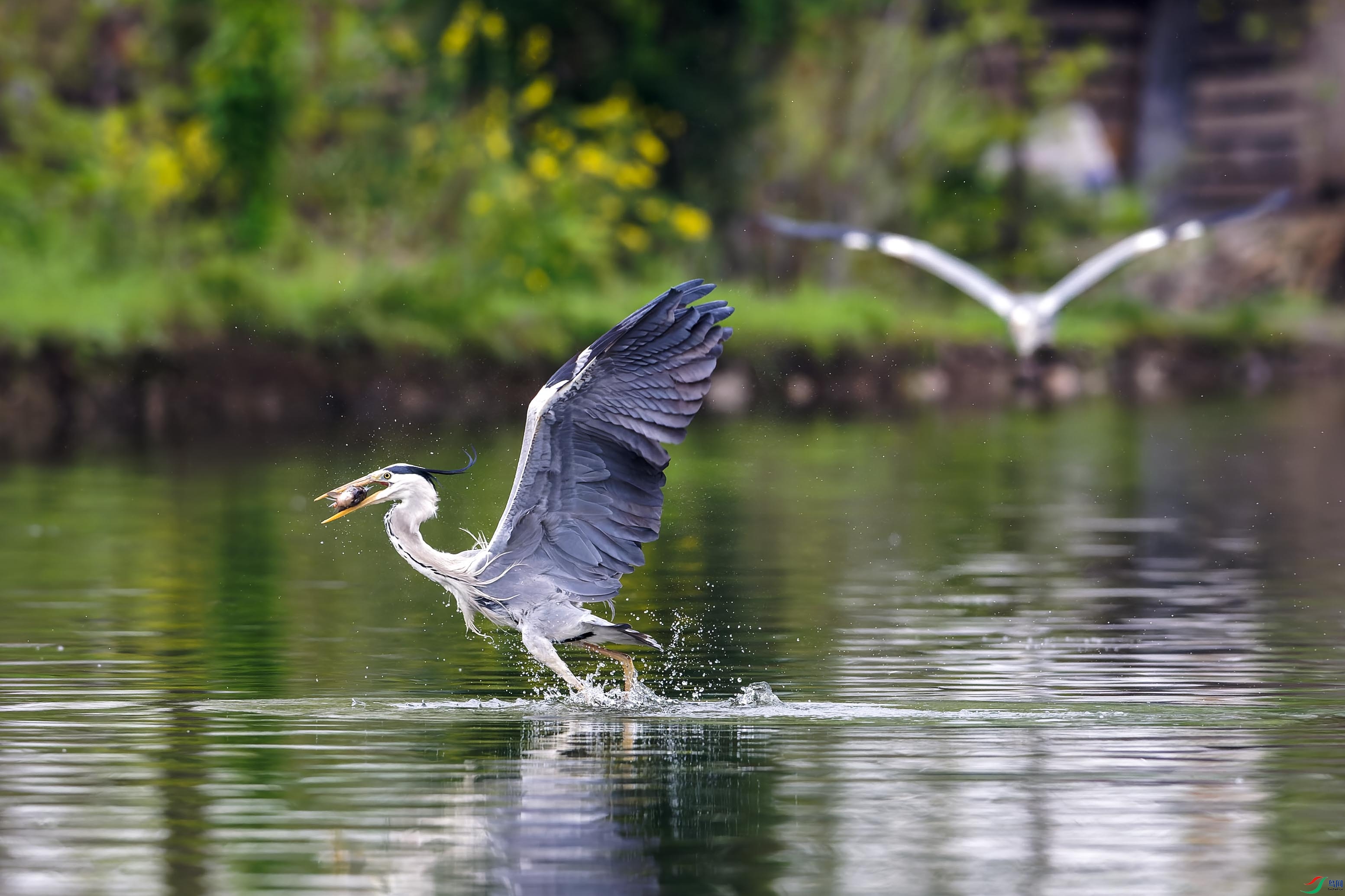 DSC_8317_DxO-1.jpg