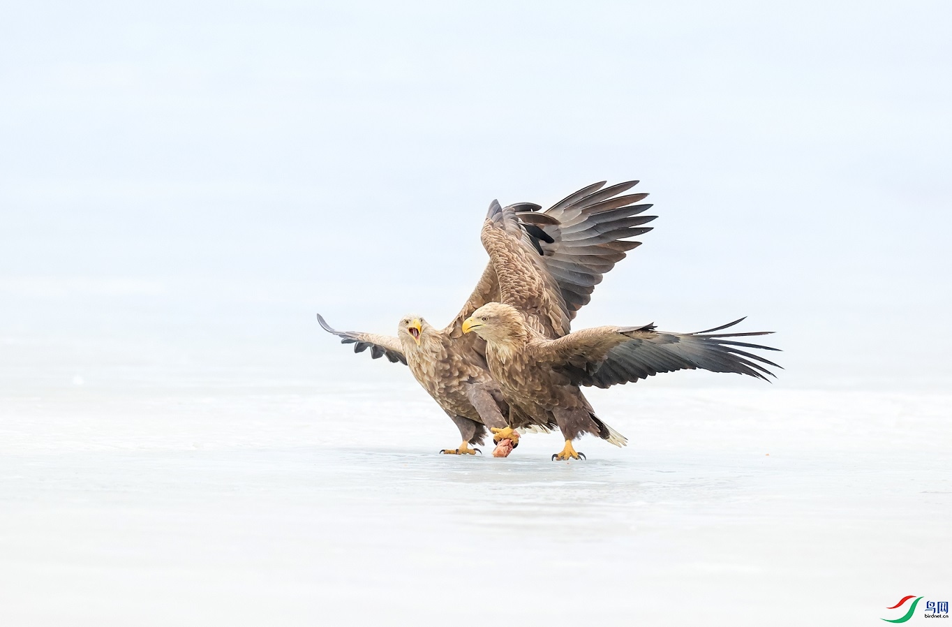 ��Ҫ���ҵ�����