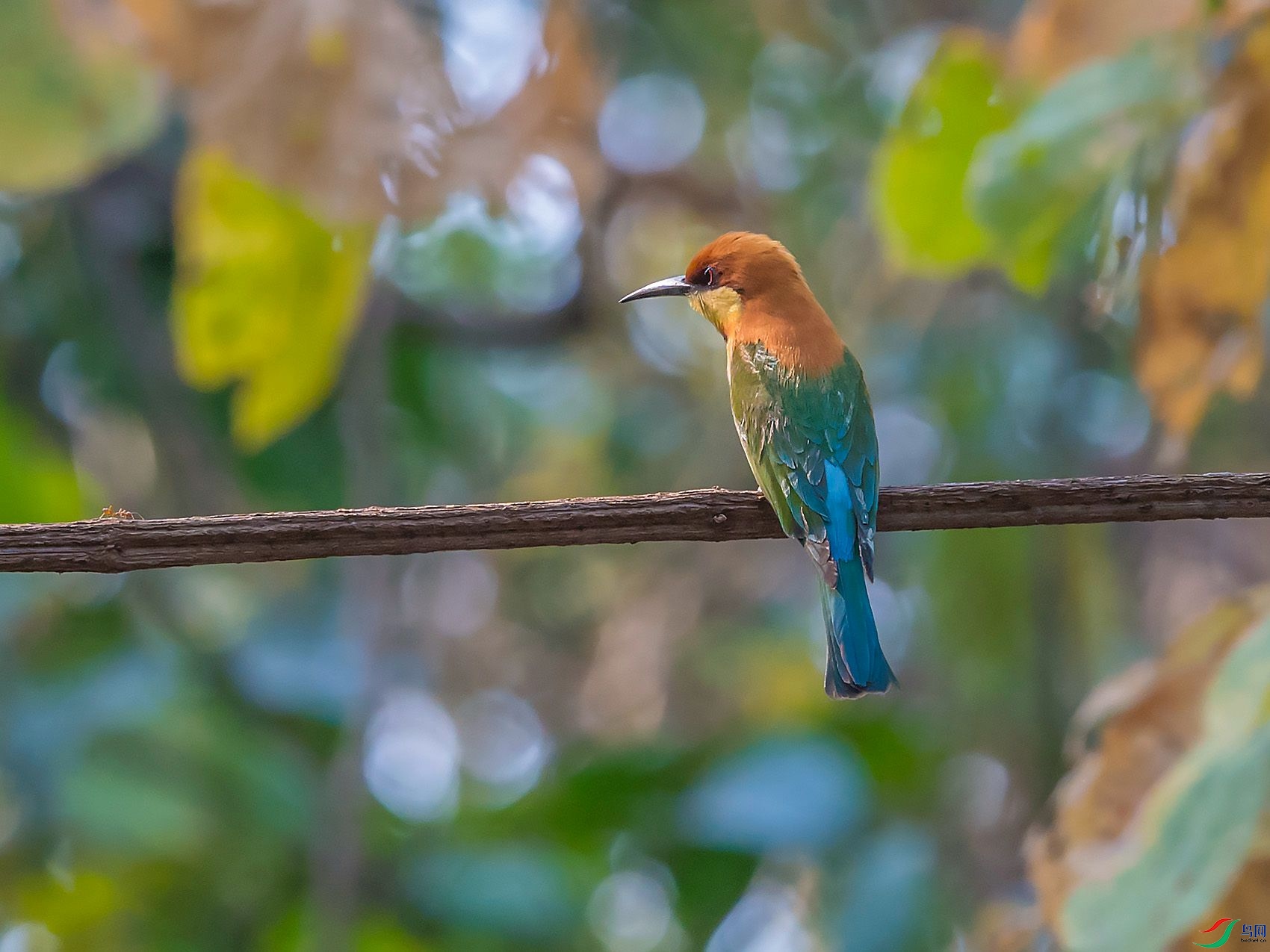 DSC_4206.jpg