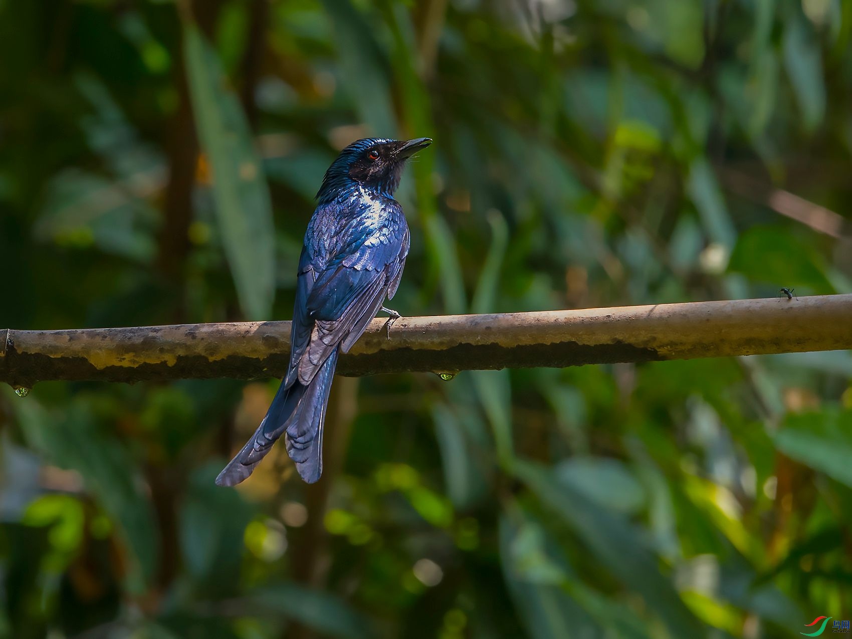DSC_6959.jpg