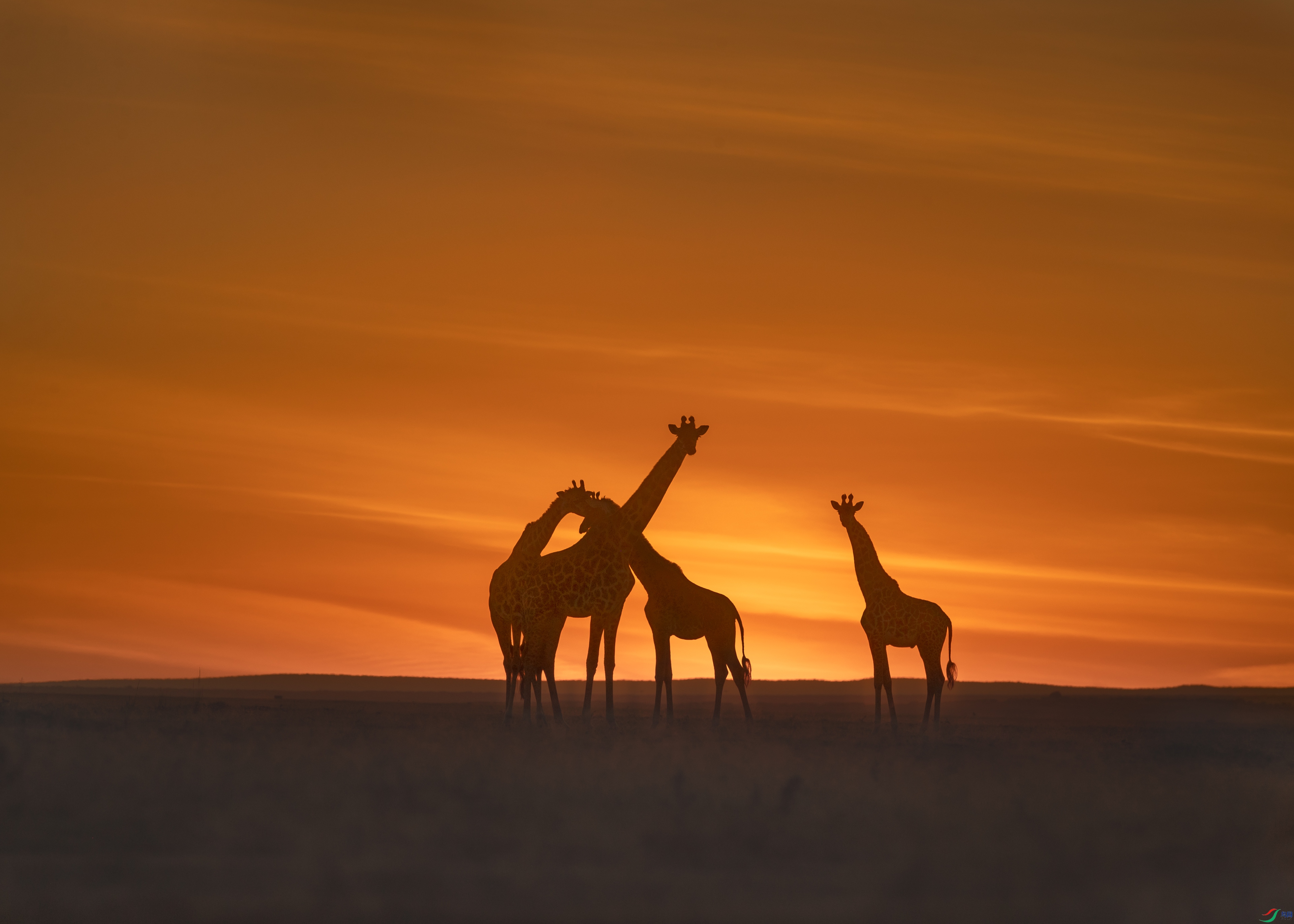 ��ƽ����