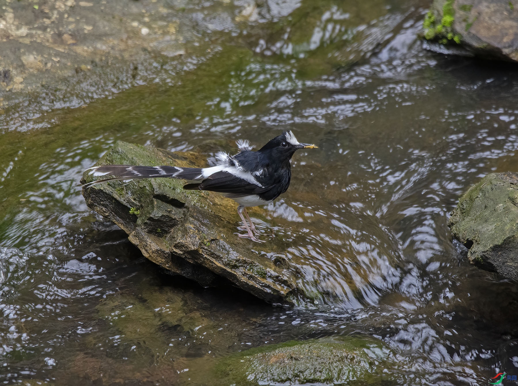 DSC_8197.jpg