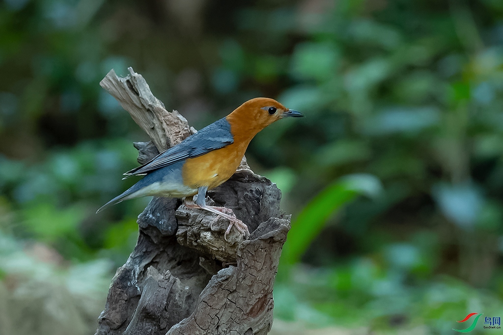 DSC_1259_DxOa.jpg