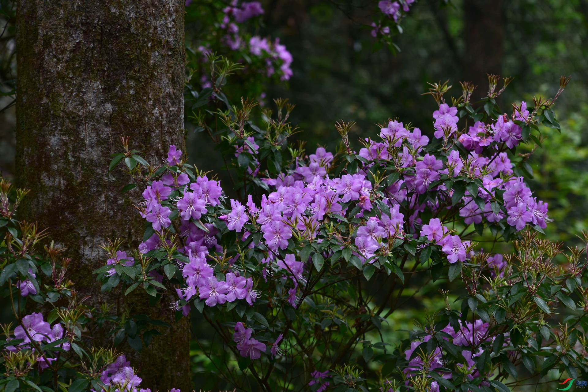 D8I_0830.jpg